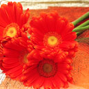 礼儀作法をもって相手をもてなす